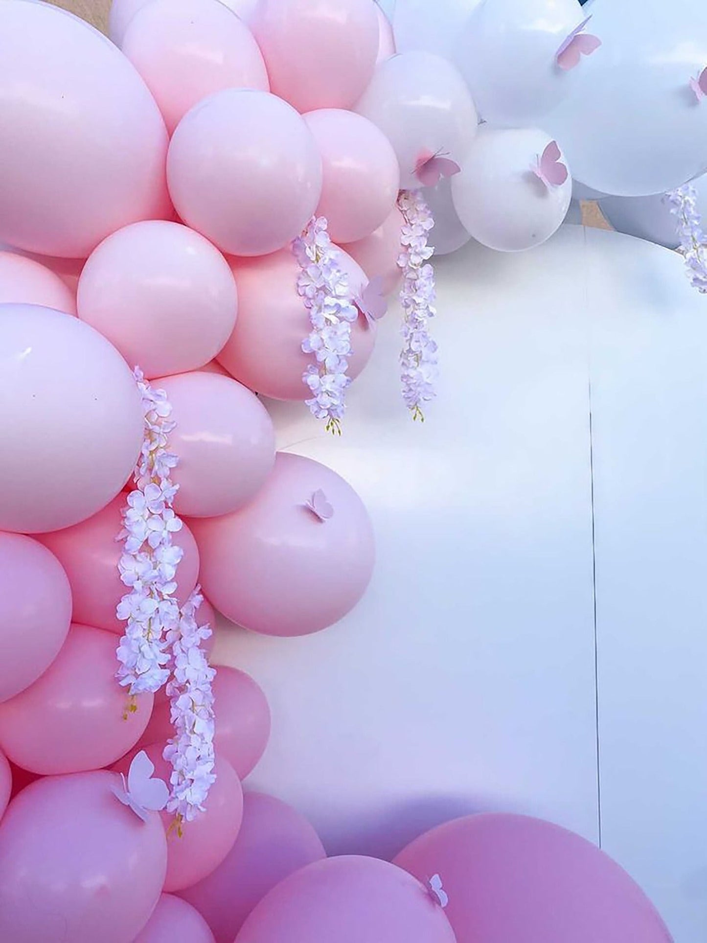 Circular Backdrop 6 Feet Tall for Sale!