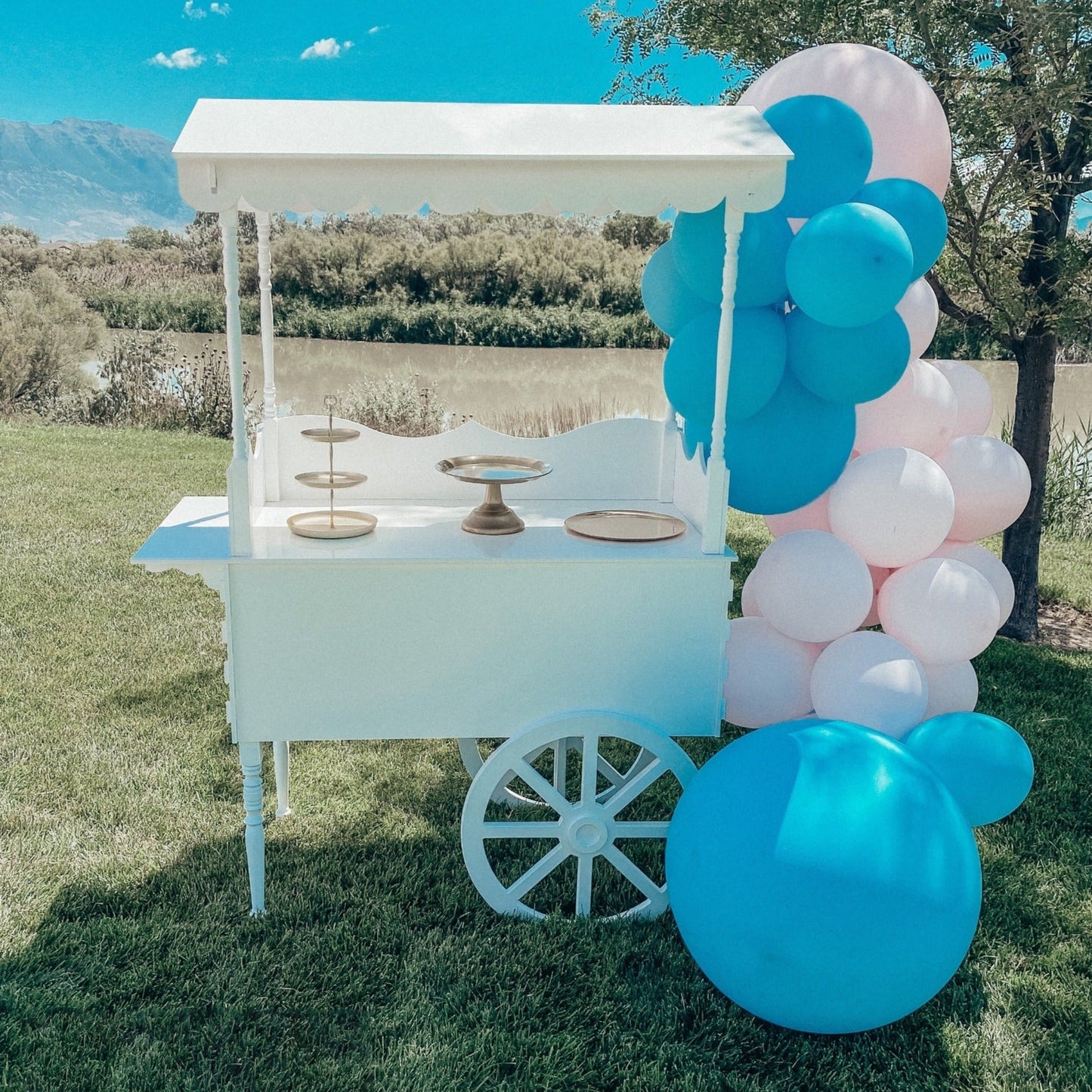 Large Fancy Sweet Cart, stunning at your party cart decoration!